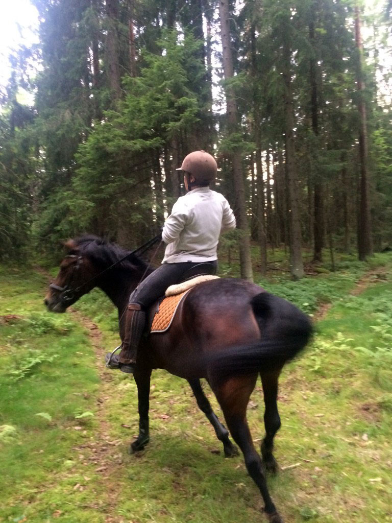 My host mom rode next to me on her horse during my jog.